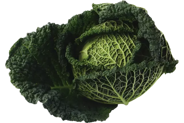 Groene kool +-- 1,3kg
